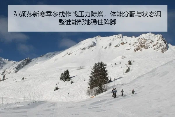 sun-ying-sha-xin-sai-ji-duo-xian-zuo-zhan-ya-li-dou-zeng-ti-neng-fen-pei-yu-zhuang-tai-tiao-zheng-shui-neng-bang-ta-wen-2-450.jpg
